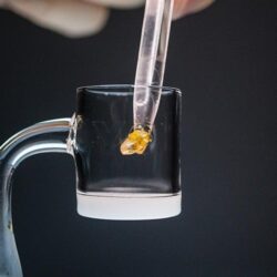 Close-up view using a metal dabbing tool to place amber concentrate into a dab rig heating chamber.